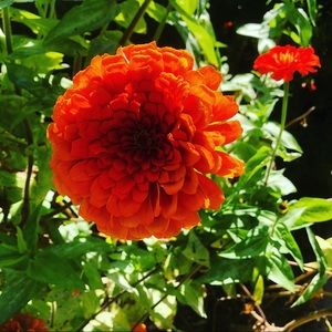 Meet your Posher, Misti